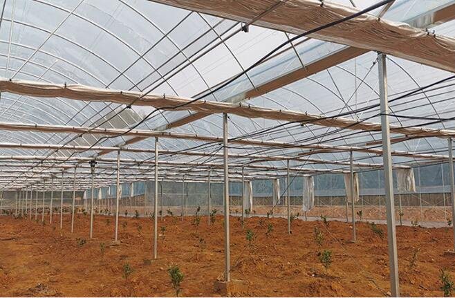 factory supply frame of green house